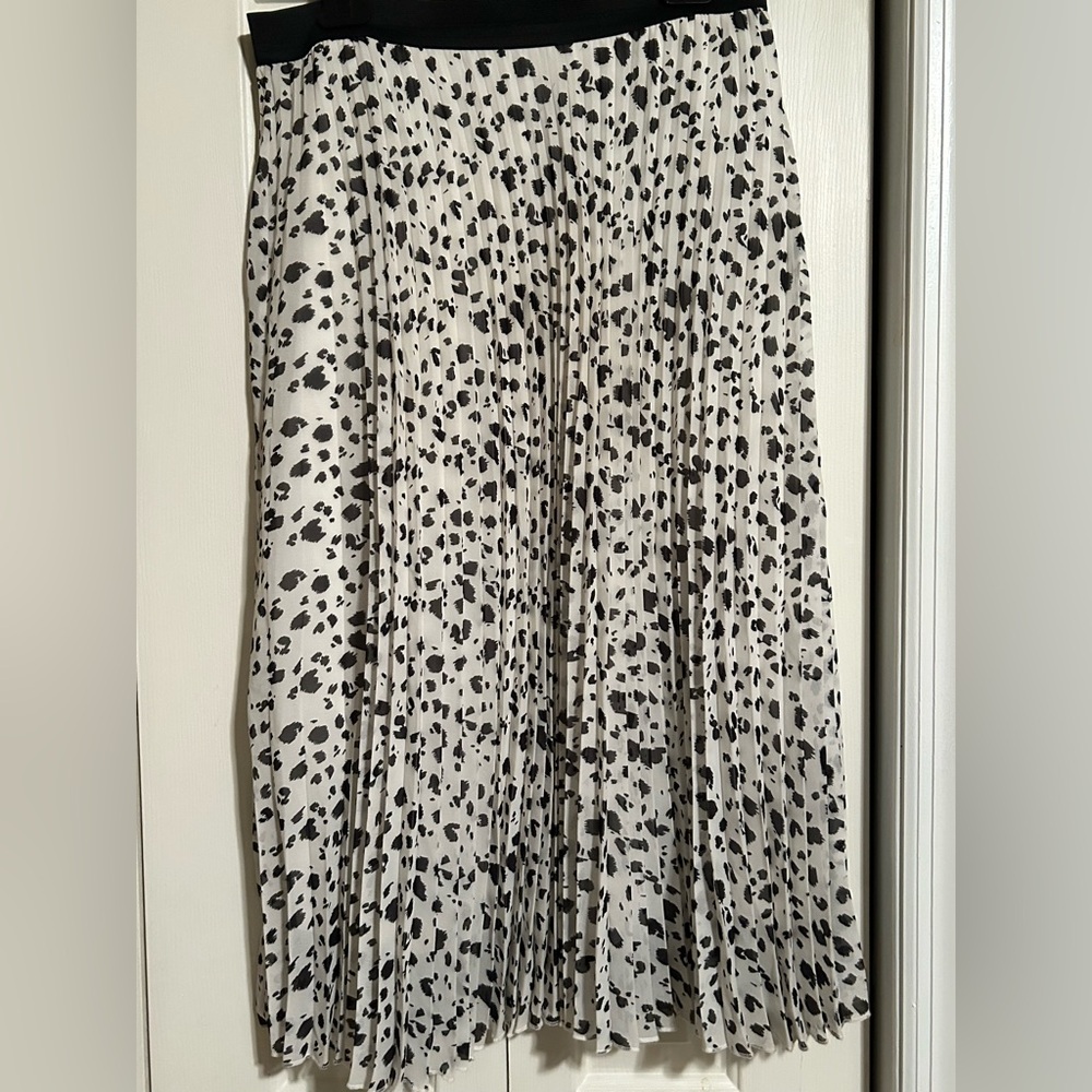 Black and White Skirt